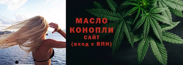 сатива Надым