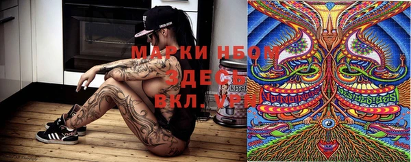 сатива Надым