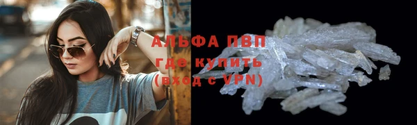 сатива Надым
