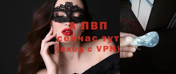 сатива Надым