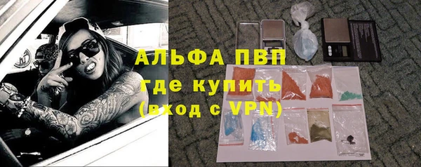 сатива Надым
