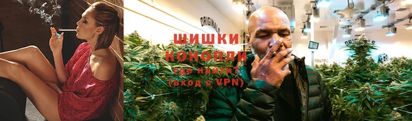 сатива Надым