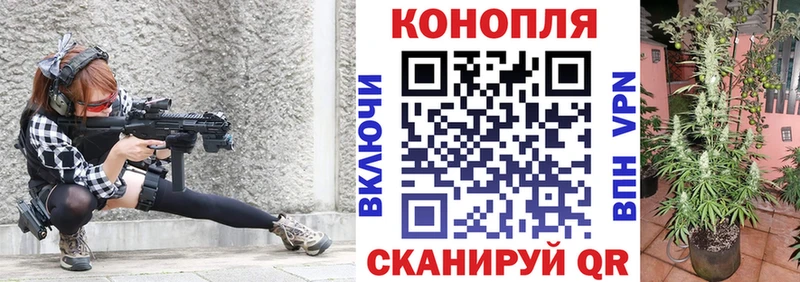 Канабис сатива  Хадыженск 